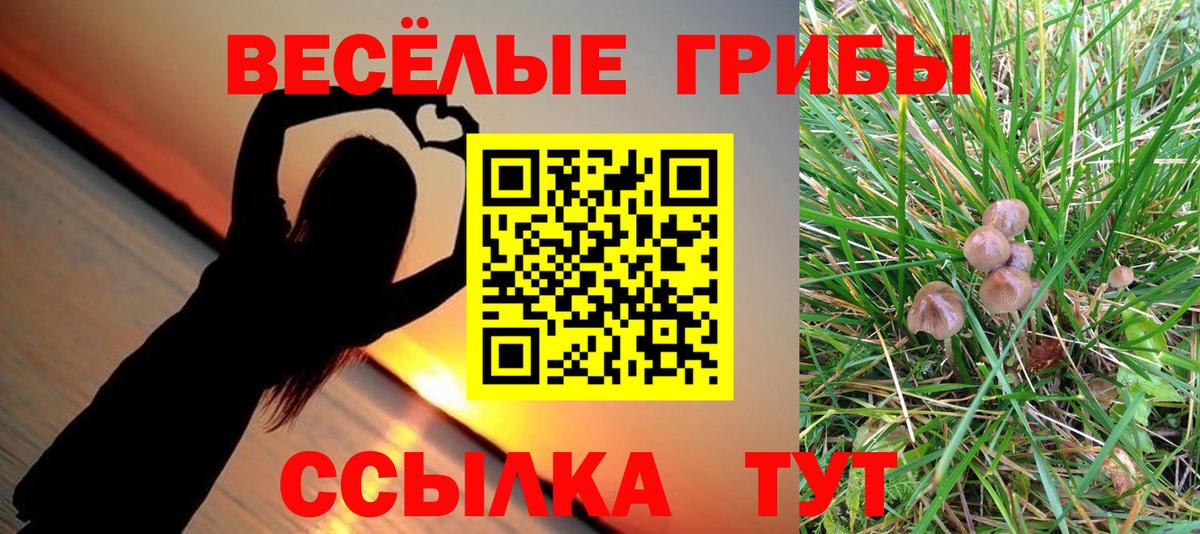Юрга  Галлюциногенные грибы MAGIC MUSHROOMS  Псилоцибиновые грибы мицелий  Вход с VPN 