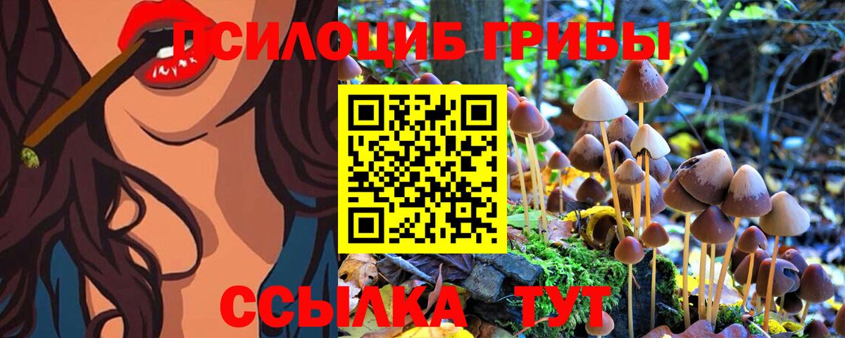 Галлюциногенные грибы Cubensis Юрга
