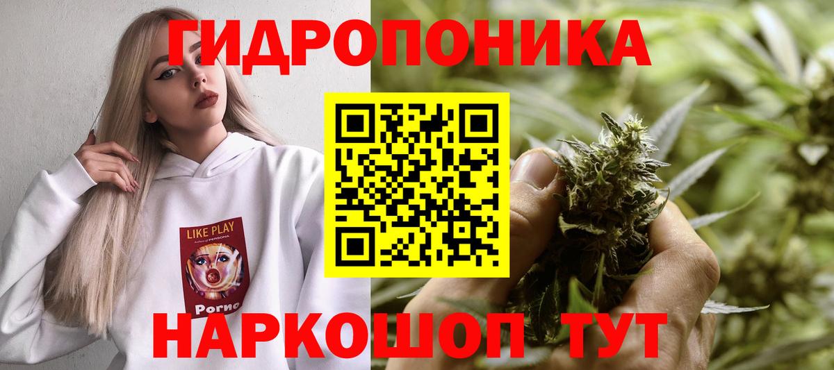 Конопля Amnesia  Вход с VPN  Юрга  Бошки марихуана семена  Конопля OG Kush 